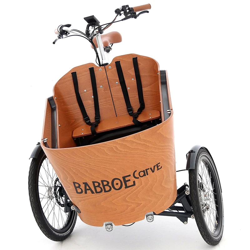 Babboe Babboe Carve Mountain Yamaha Tricycle Cargo électrique – Image 2