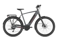 GAZELLE GAZELLE Ultimate T10 High Step Dust Light Matte Vélo électrique